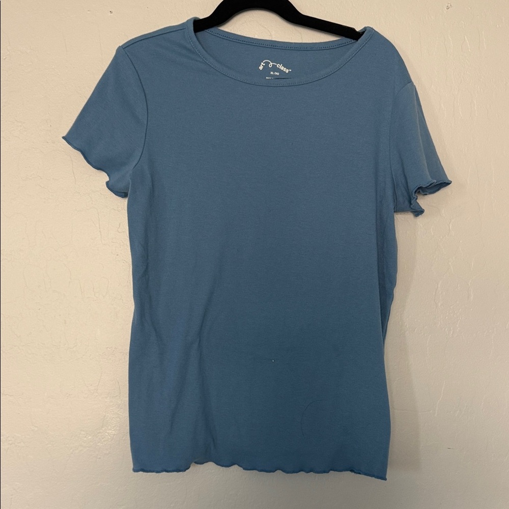 Kids Blue & pink ruffle sleeve tee bundle